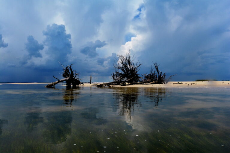 Anclote Key Preserve State Park