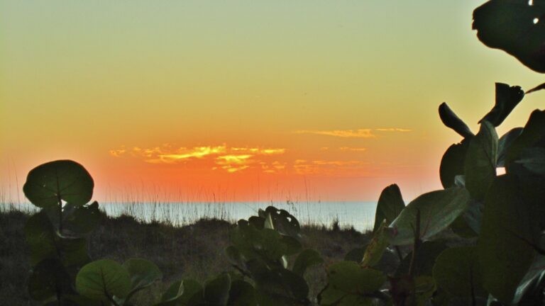 Archibald Beach Park