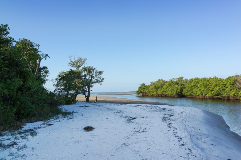 Bunche Beach Bunche Beach