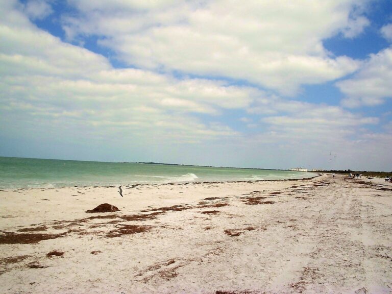 Caladesi Island State Park Caladesi Island State Park