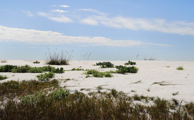 Cayo Costa State Park Cayo Costa State Park