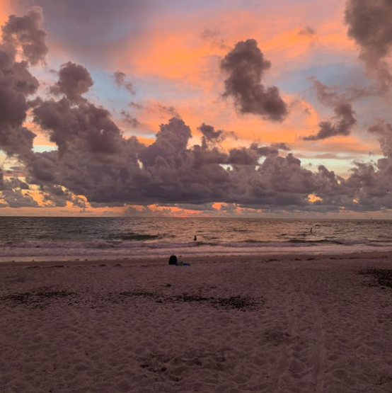 A serene sunset over Anna Maria Island's beach, with dramatic pink and orange clouds reflecting on the calm Gulf waters.