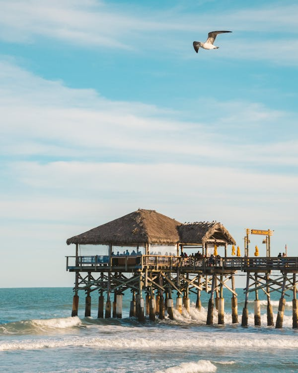A sight of the beach's pier, with a view of the ocean in the distance.